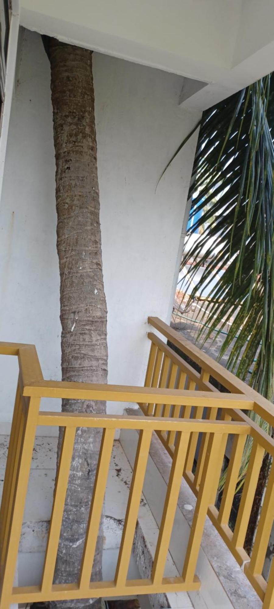 Prakash Holiday Inn Arambol Kültér fotó